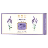 English Lavender 